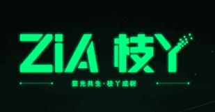 ZIA 枝丫